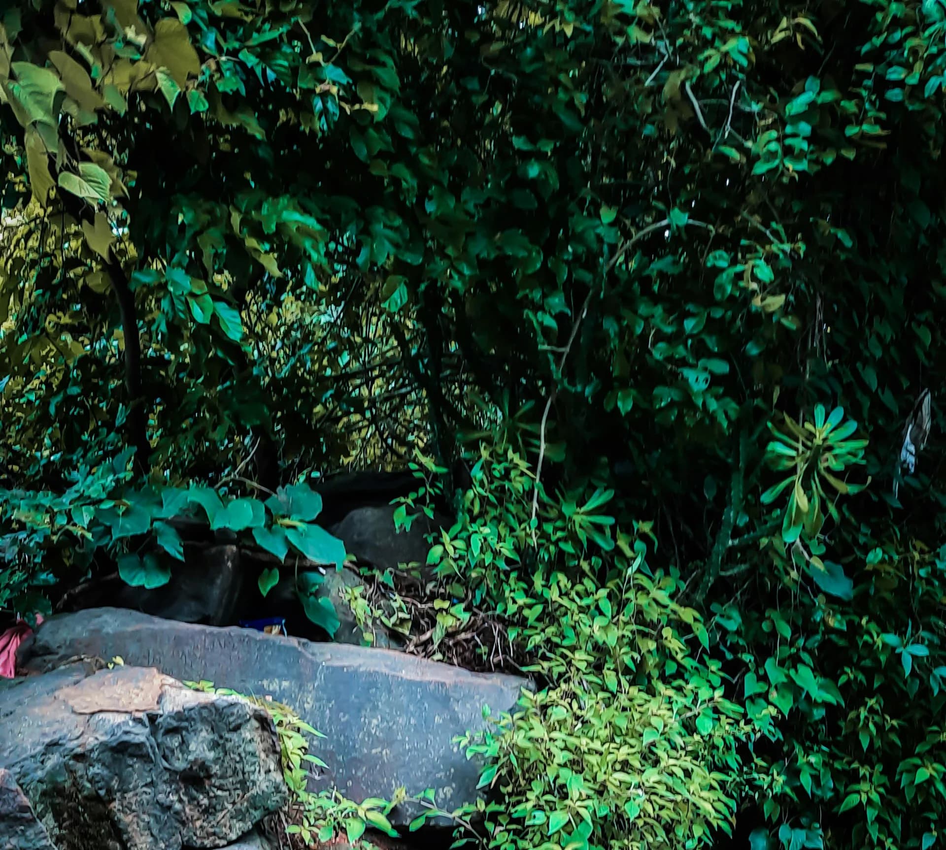 Tropical turquoise water